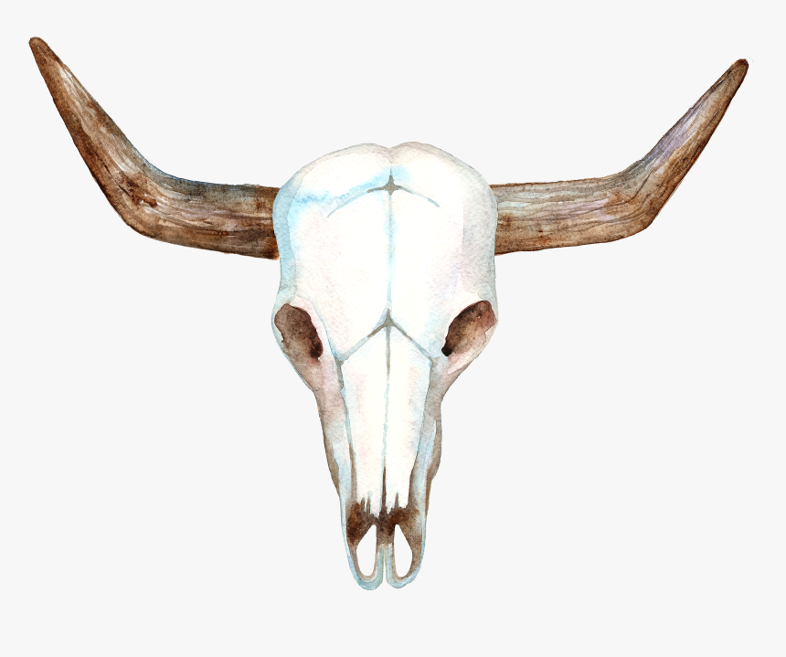 Bull Head Skull - Cow Head Skull Png, Transparent Png, Free Download