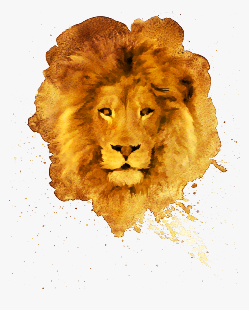 Transparent Lion Face Png - Most Beautiful Lion Hd, Png Download, Free Download