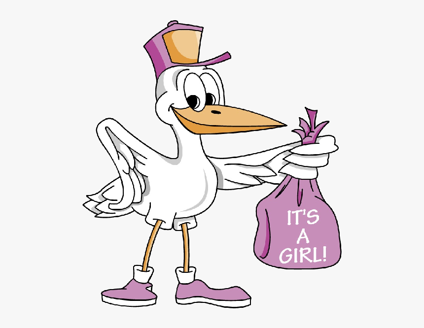 Stork Carrying Baby Girl 4 600×600 Pixels - Its A Girl Bird, HD Png Download, Free Download