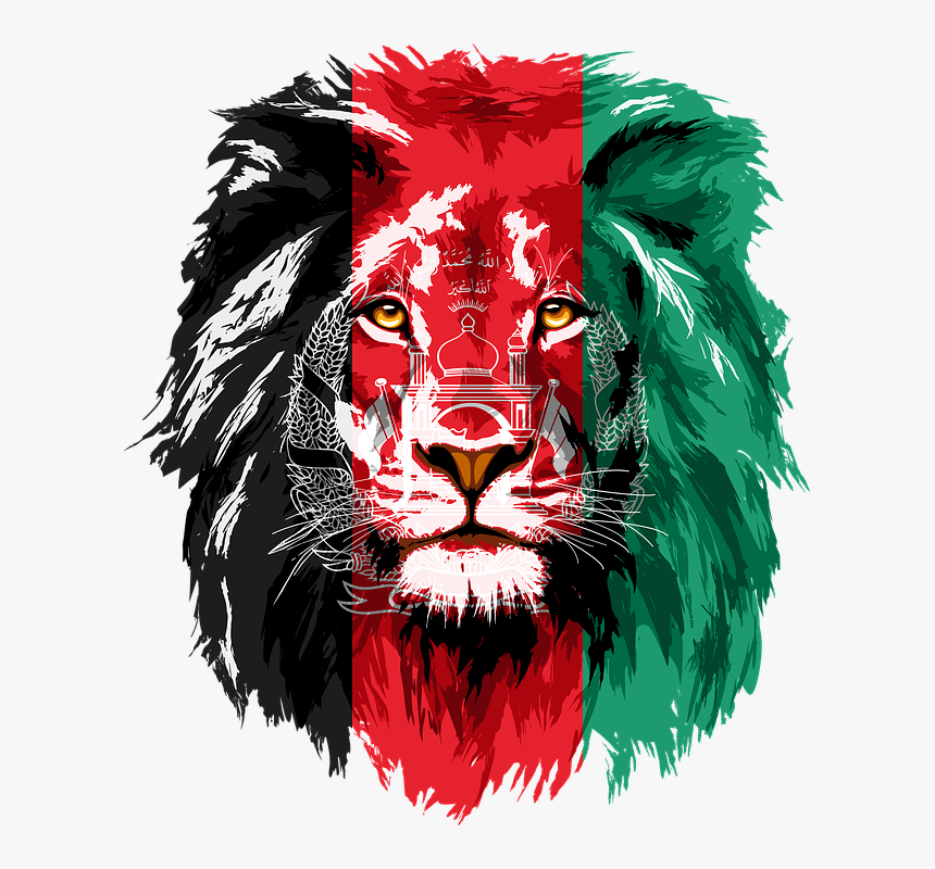 Get Beautiful Flag Wallpaper Afghanistan Flag Lion Background