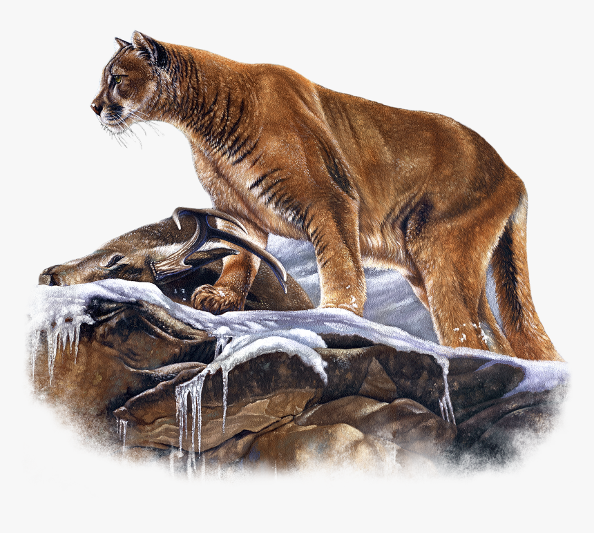 Mountain Lion Png, Transparent Png, Free Download