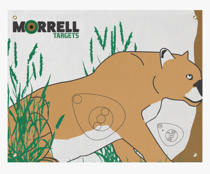 Mountain Lion Polypropylene Archery Target Face - Cougar, HD Png Download, Free Download