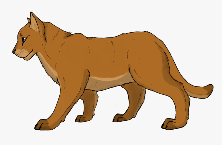 Transparent Mountain Lion Png - Mountain Lion Clipart, Png Download, Free Download