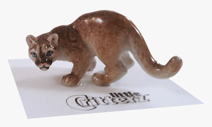 Mountain Lion Png, Transparent Png, Free Download