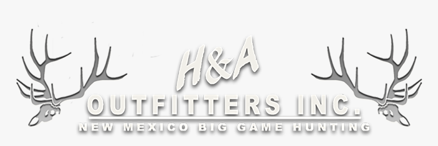 H&a Outfitters, Inc - Calligraphy, HD Png Download, Free Download