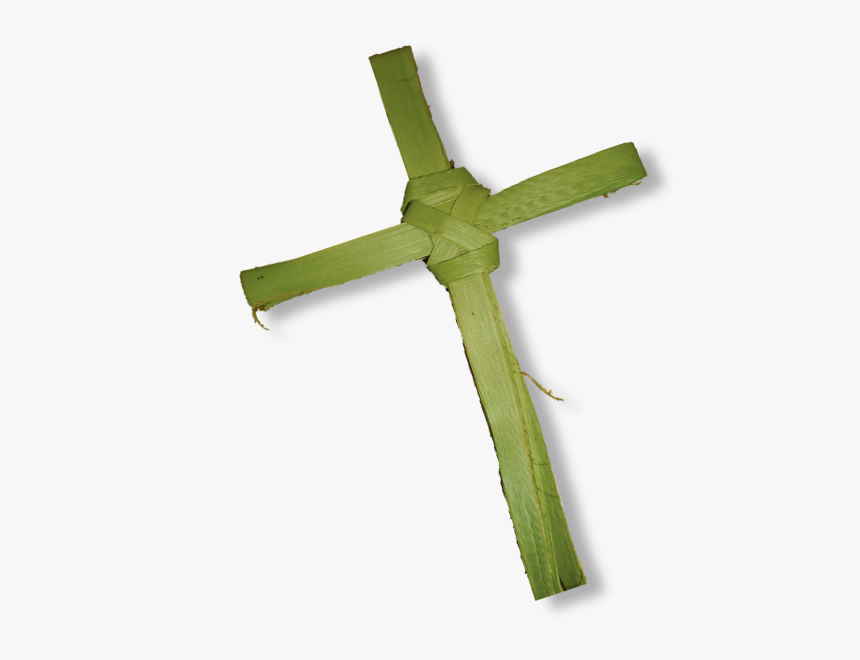 Fresh Palm Crosses For Sale, HD Png Download, Free Download
