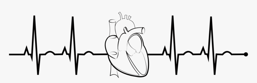 Transparent Heart Rate Png - Ekg Clip Art, Png Download, Free Download