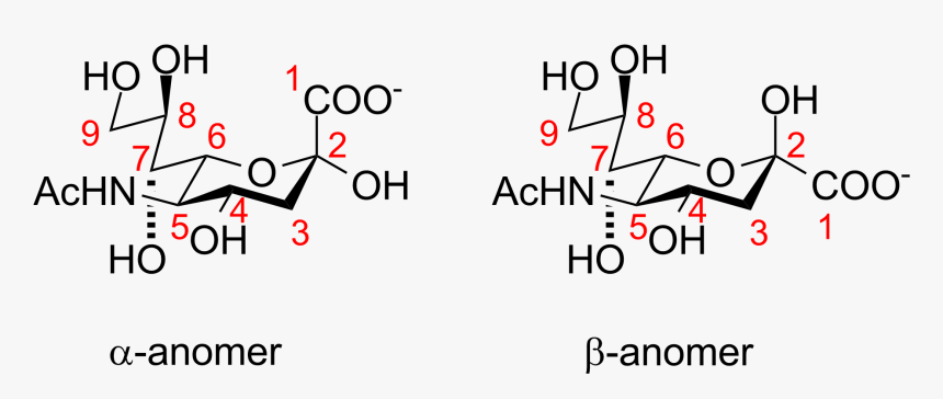 Sialic Acids 2 - Sialic Acid, HD Png Download, Free Download
