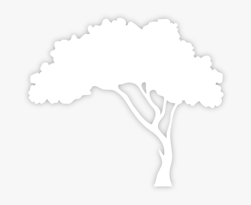 Transparent White Tree Png - Silhouette White Tree Png, Png Download, Free Download