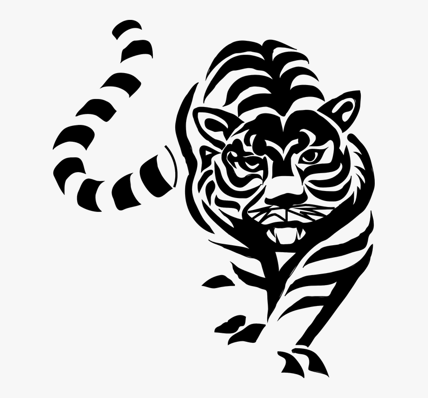 Tiger, Cat, Big, Black, White, Stripes, Prowl, Walk - Tiger Png Black And White, Transparent Png, Free Download