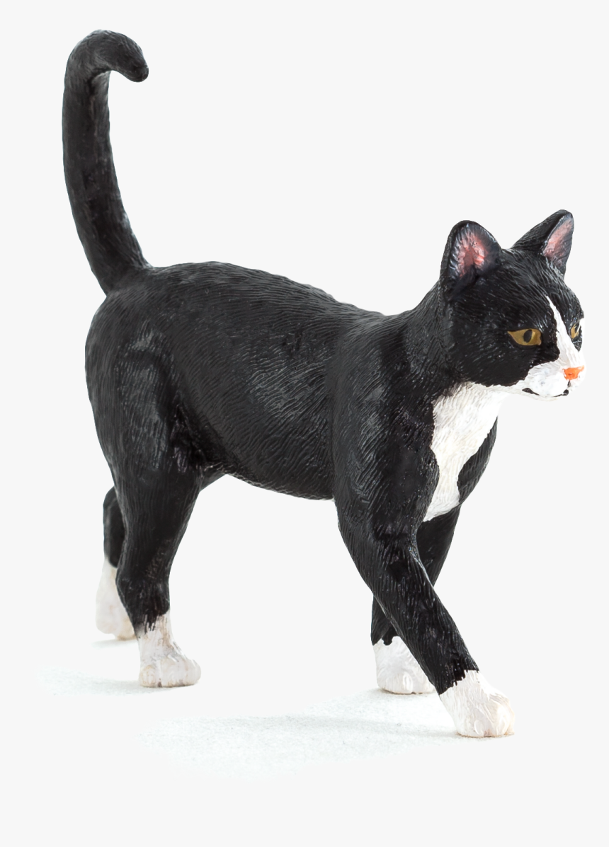 Black Cat, HD Png Download, Free Download