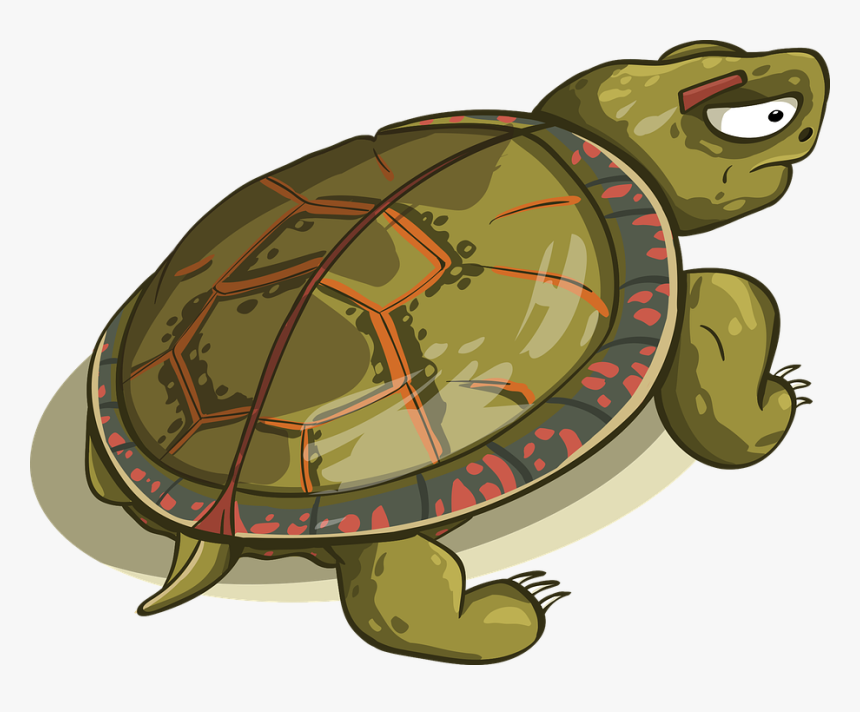 Tortoise, Shell, Amphibious, Reptile, Animal - Turtle Kick Vector, HD Png Download, Free Download