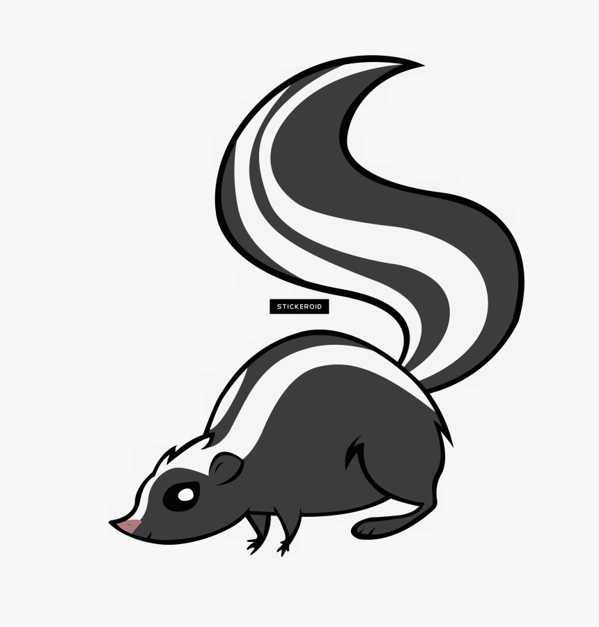 Striped Skunk,tail,skunk - Skunk Clipart Png, Transparent Png, Free Download