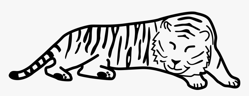 Draw A Sleeping Tiger, HD Png Download, Free Download