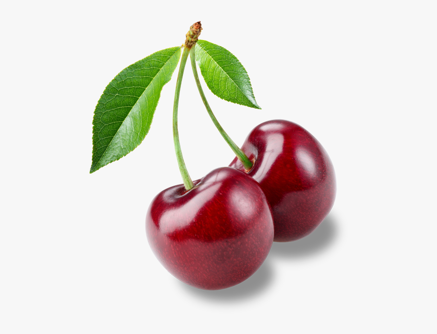 Two Cherries On Stem, HD Png Download, Free Download