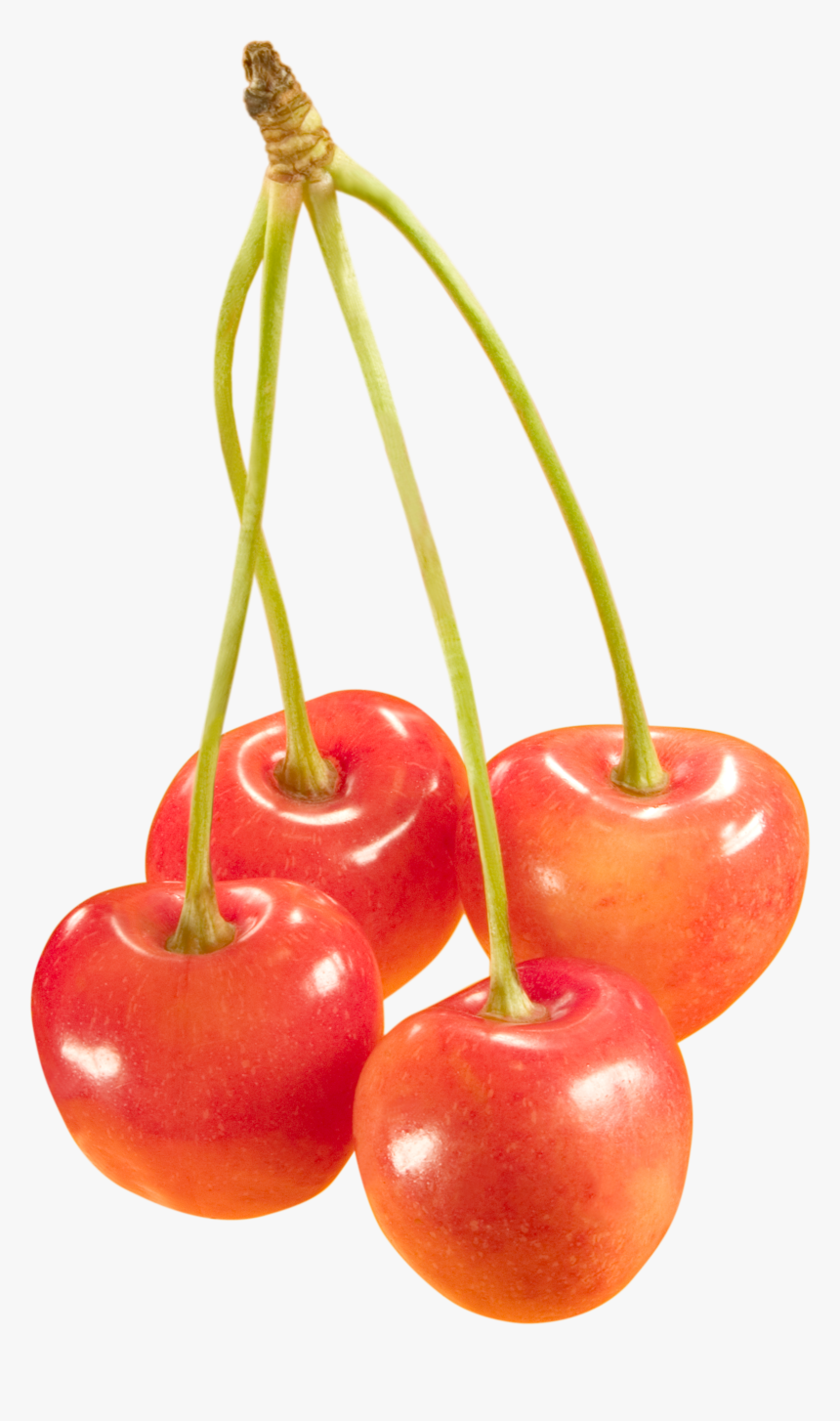 Cherries Png Image - Черешня Пнг, Transparent Png, Free Download