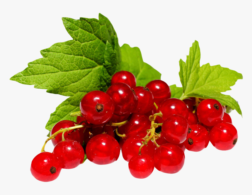 Cherries Png, Transparent Png, Free Download