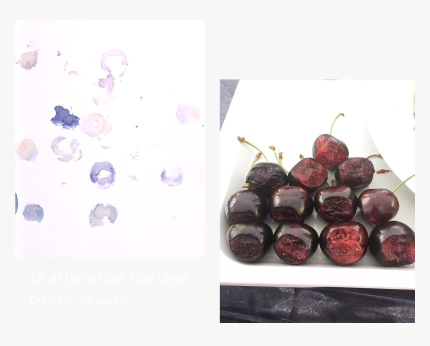 Chokeberry, HD Png Download, Free Download