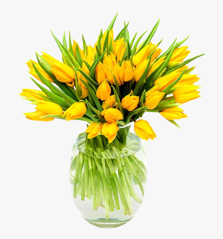 Yellow Tulips Png Background - Tulip, Transparent Png, Free Download