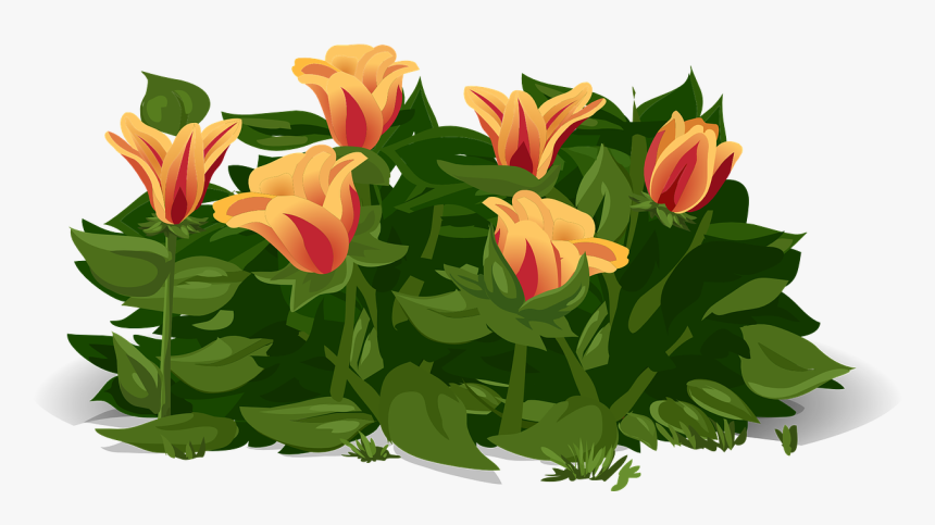 Gelukkige Lente Dag, HD Png Download, Free Download