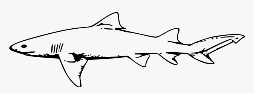 Drawing Shark Jaws - Shark Clipart Black And White Free, HD Png Download, Free Download