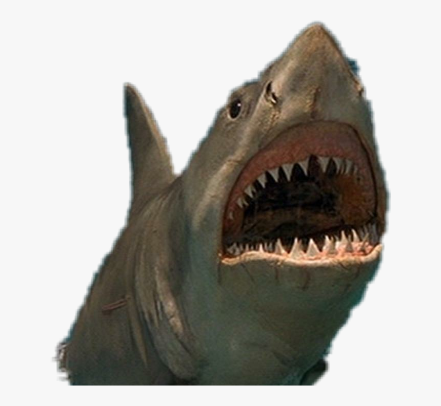 #jaws - Jaws Png Shark, Transparent Png, Free Download