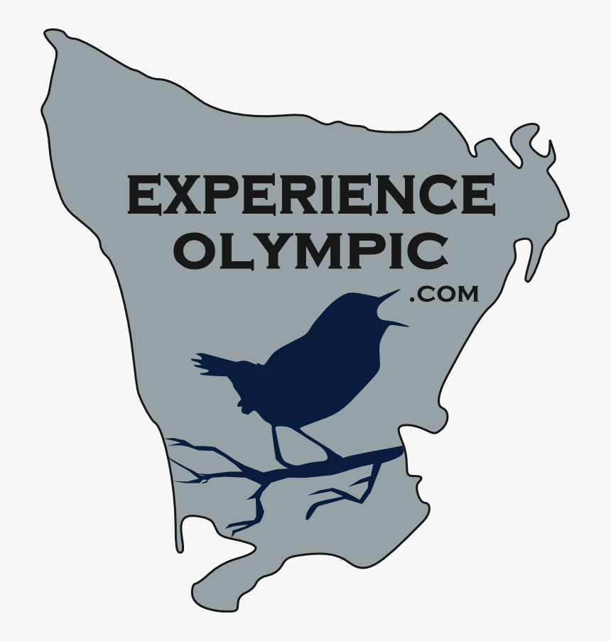 Experience Olympic Logo Shows An Outline Of The Entire, HD Png Download, Free Download