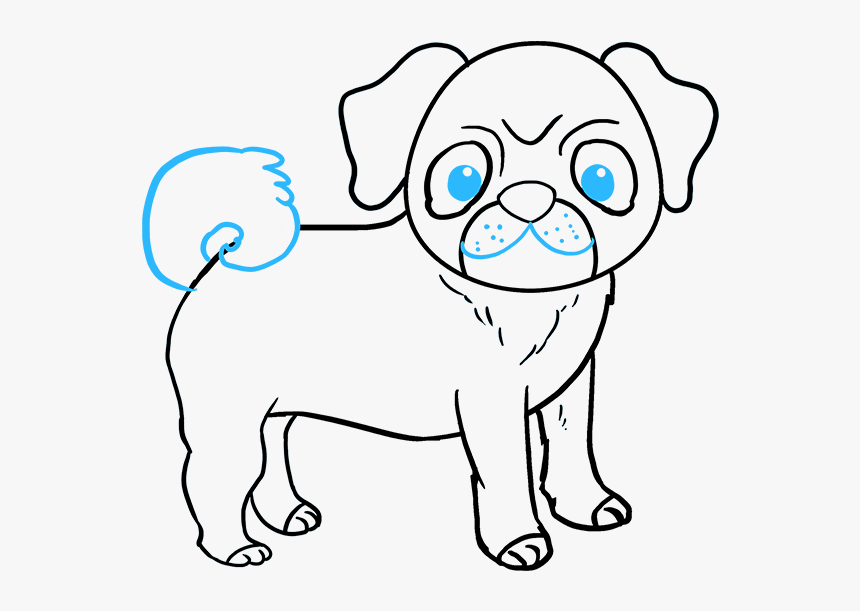 How To Draw Pug - Drawing, HD Png Download, Free Download