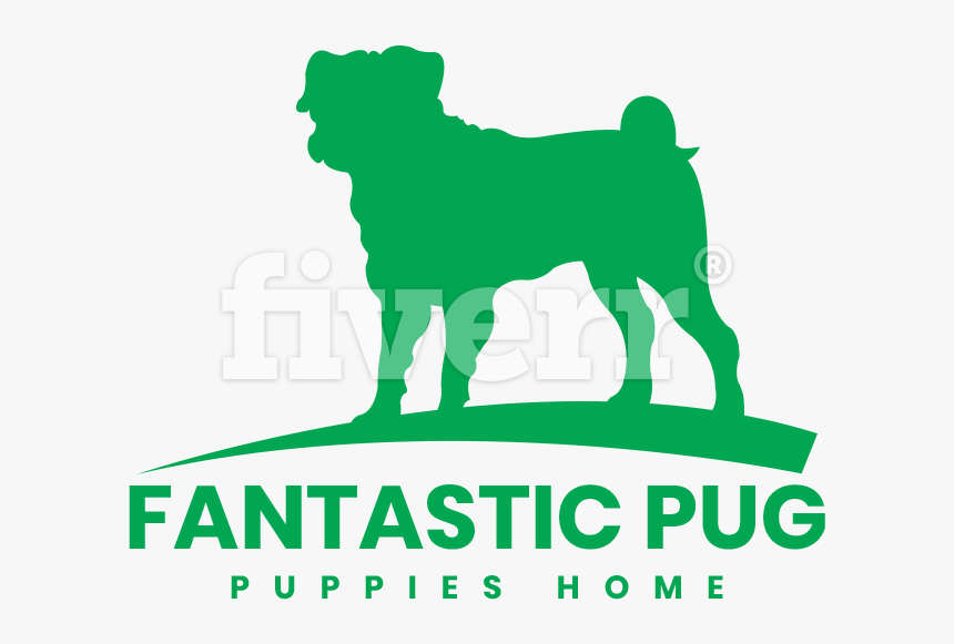 Fantastic Pug Puppies Home, HD Png Download, Free Download