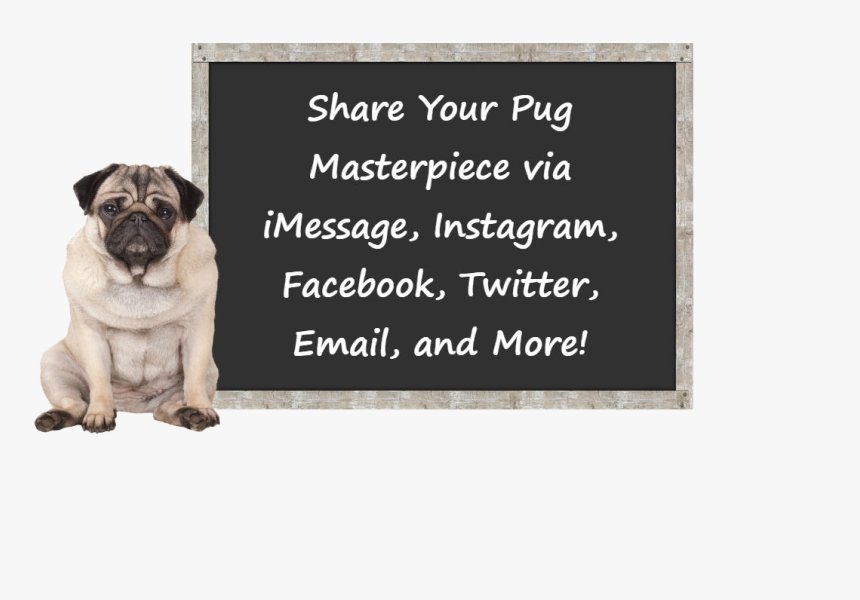 Create Art And Add Stickers And Filters To Your Pug"s - Pug, HD Png Download, Free Download