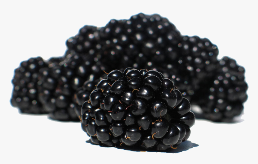 Best Free Blackberry Png - Black Mulberry Png, Transparent Png, Free Download