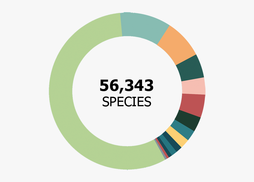 56,343 Species - Most Biodiverse Country, HD Png Download, Free Download