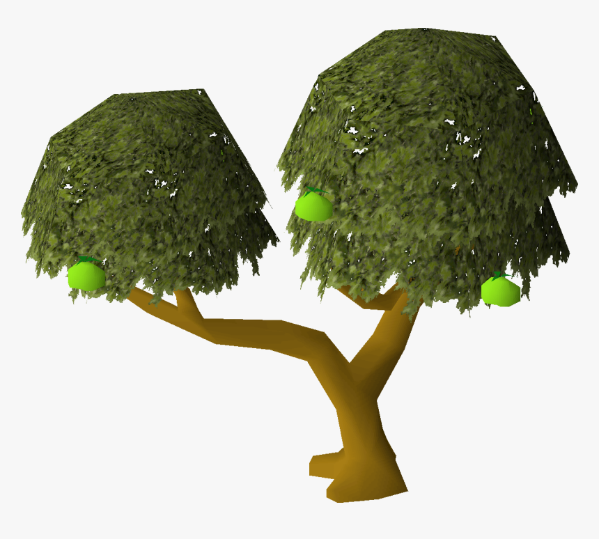 Oak - Runescape, HD Png Download, Free Download