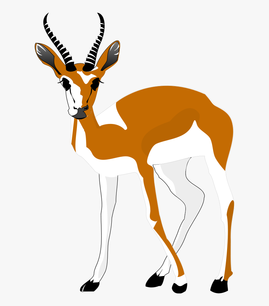 Antelope Clipart Png, Transparent Png, Free Download