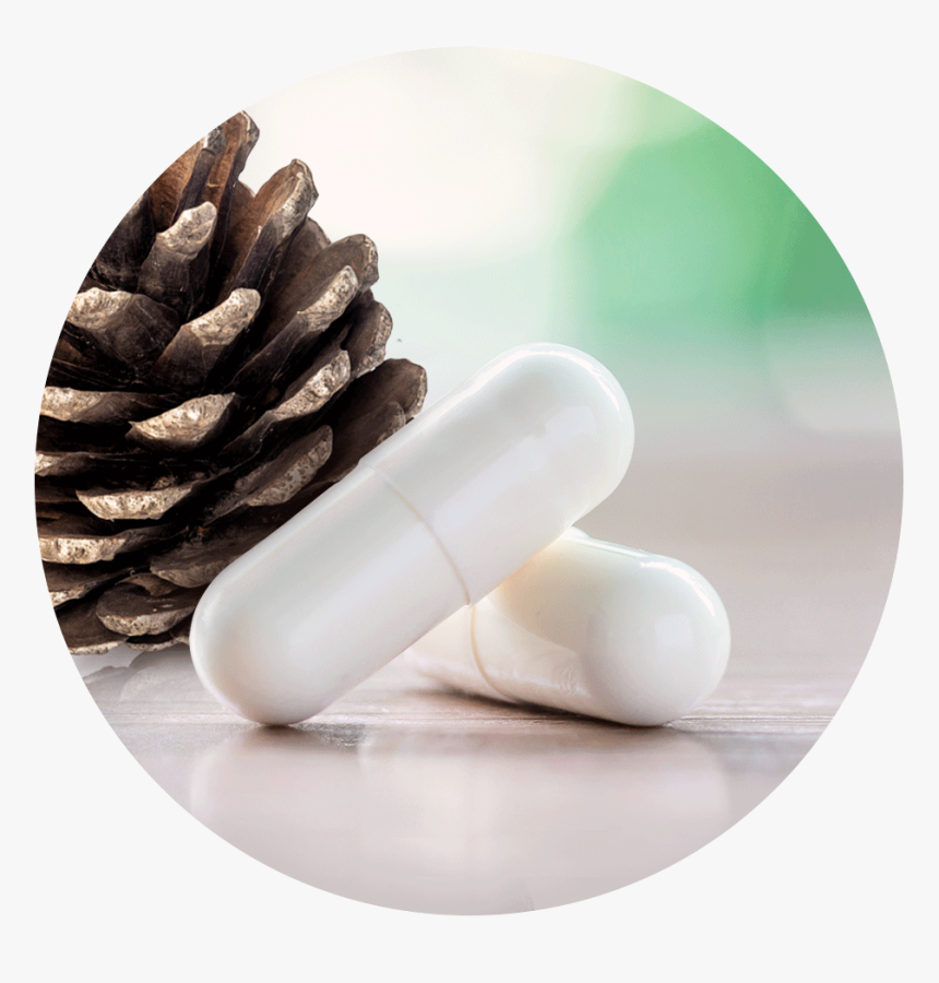 Vegan Capsule Shell - Pill, HD Png Download, Free Download