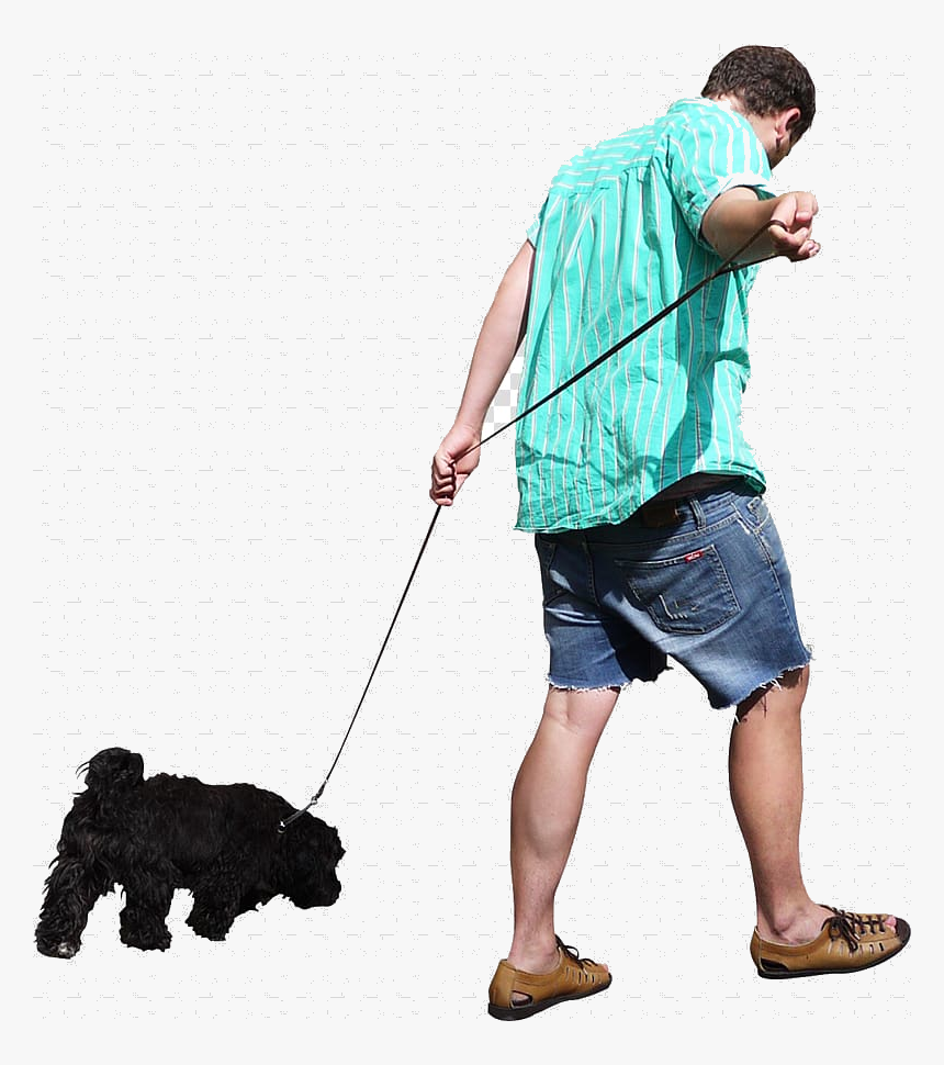 Dog Walking Man Free People Transparent Background - People Walking Transparent Background, HD Png Download, Free Download