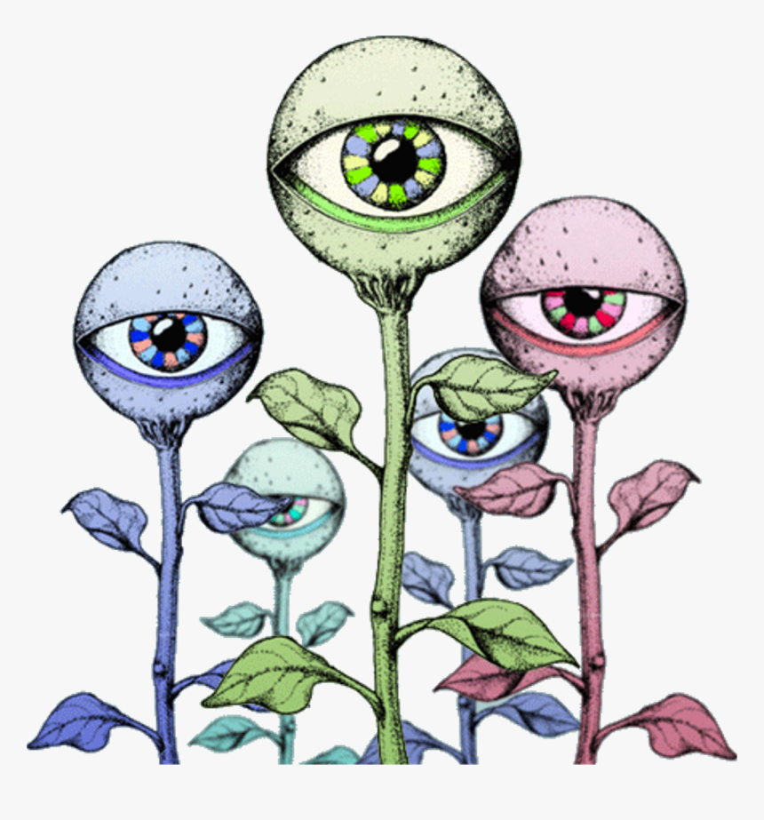 #alien #eyes #trippy #hologram #hippy #flower #plant - Trippy Eye Drawings, HD Png Download, Free Download