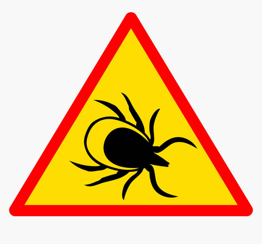Tick Lymes Warning Sign, HD Png Download, Free Download