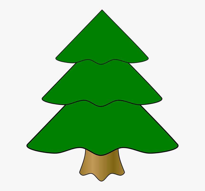Evergreen, Fir Tree, Green, Tree, Christmas, Pine, - Christmas Tree Vector Png Black, Transparent Png, Free Download