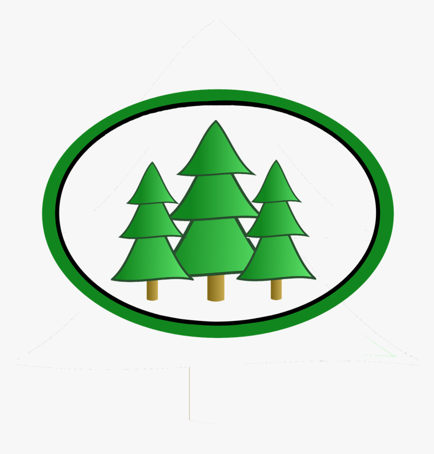 Fir Tree Clip Art, HD Png Download, Free Download