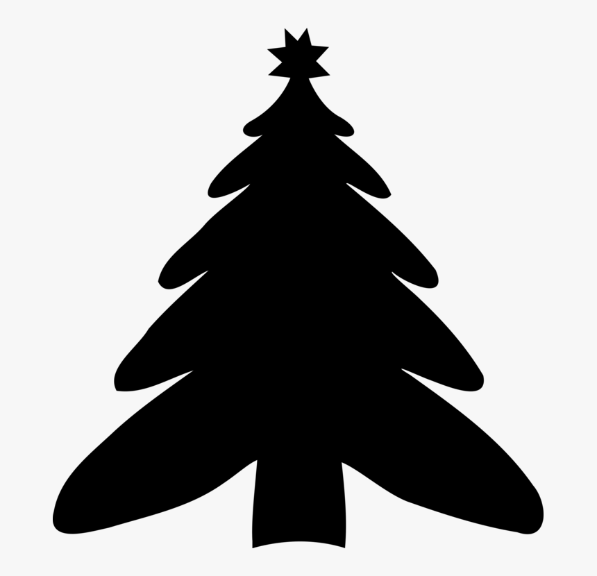 Evergreen,white Pine,colorado Spruce - Christmas Tree, HD Png Download, Free Download