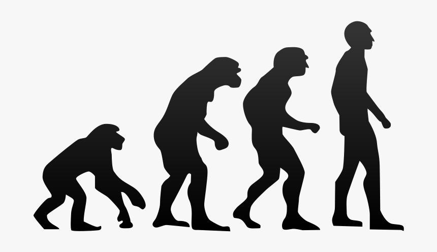 File - Human Evolution - Svg - Evolution Of Humans, HD Png Download, Free Download