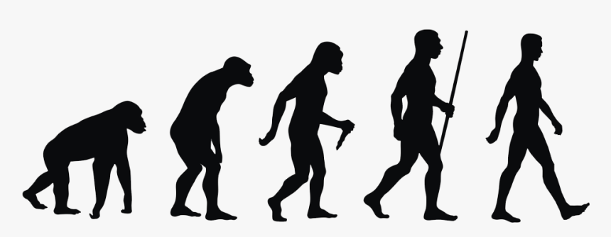 Human Nutrition Needs - Evolution Theory, HD Png Download, Free Download