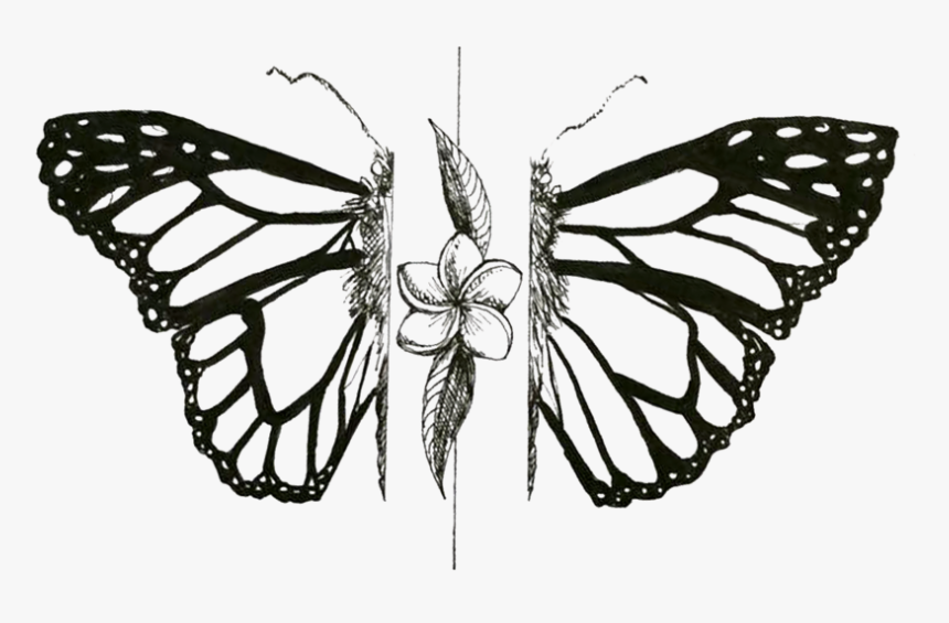 Monarch Butterfly - Mariposa Png, Transparent Png, Free Download