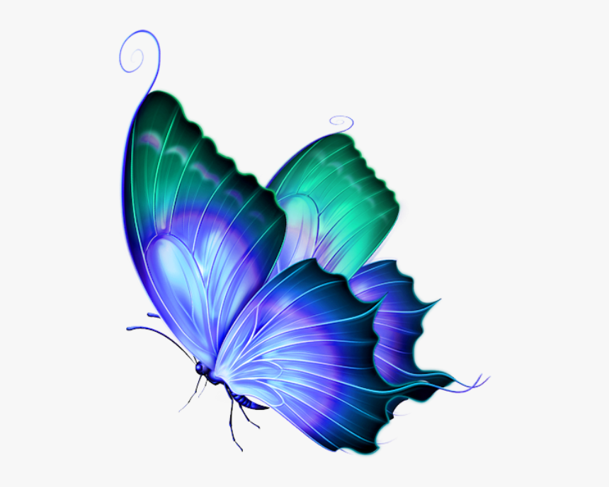 Transparent Background Butterfly Png, Png Download, Free Download