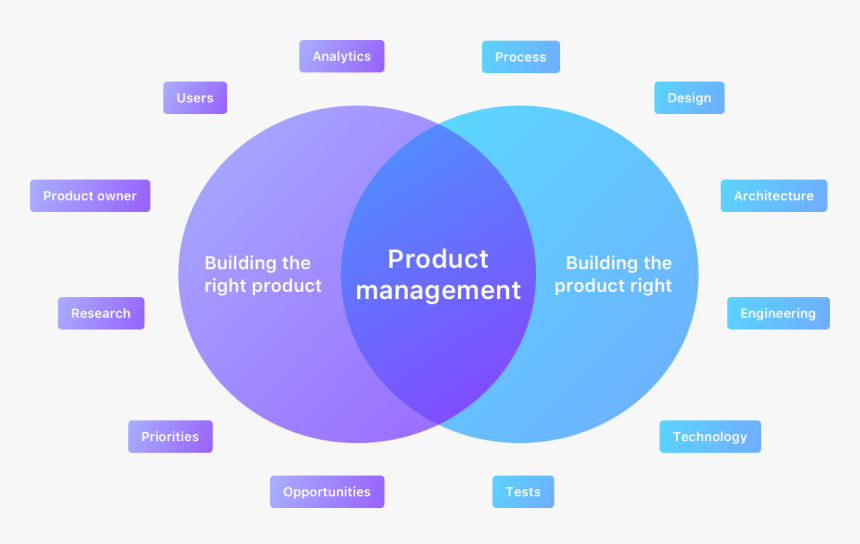 Product Management - Product Management Process, HD Png Download, Free Download