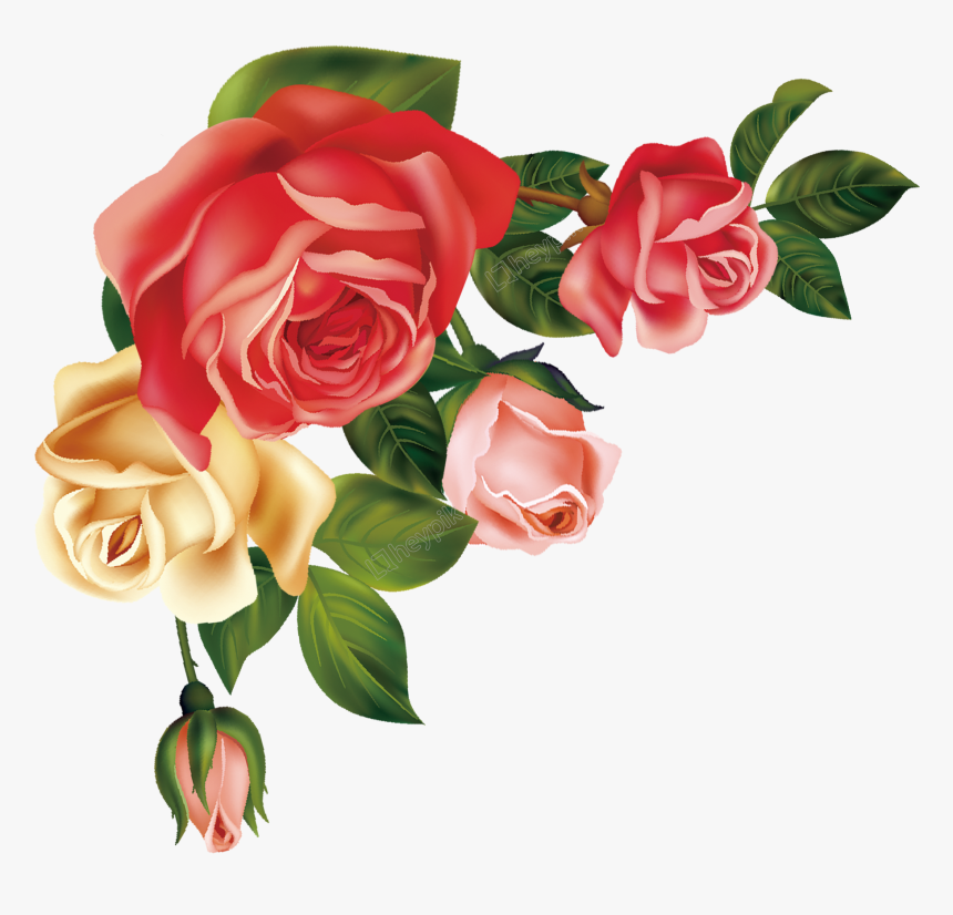 Hand Drawn Cartoon Fashion Rose Flower Decoration Vector - Floribunda, HD Png Download, Free Download