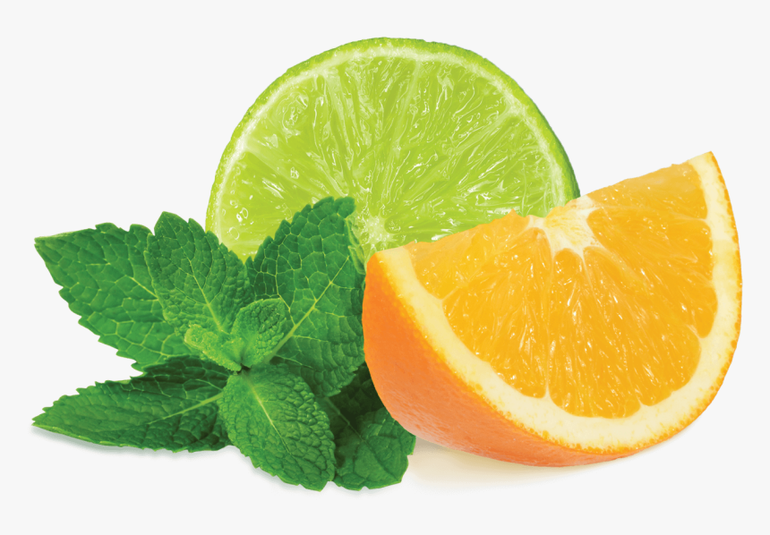 Mint Transparent - Citrus Mint Fumari, HD Png Download, Free Download