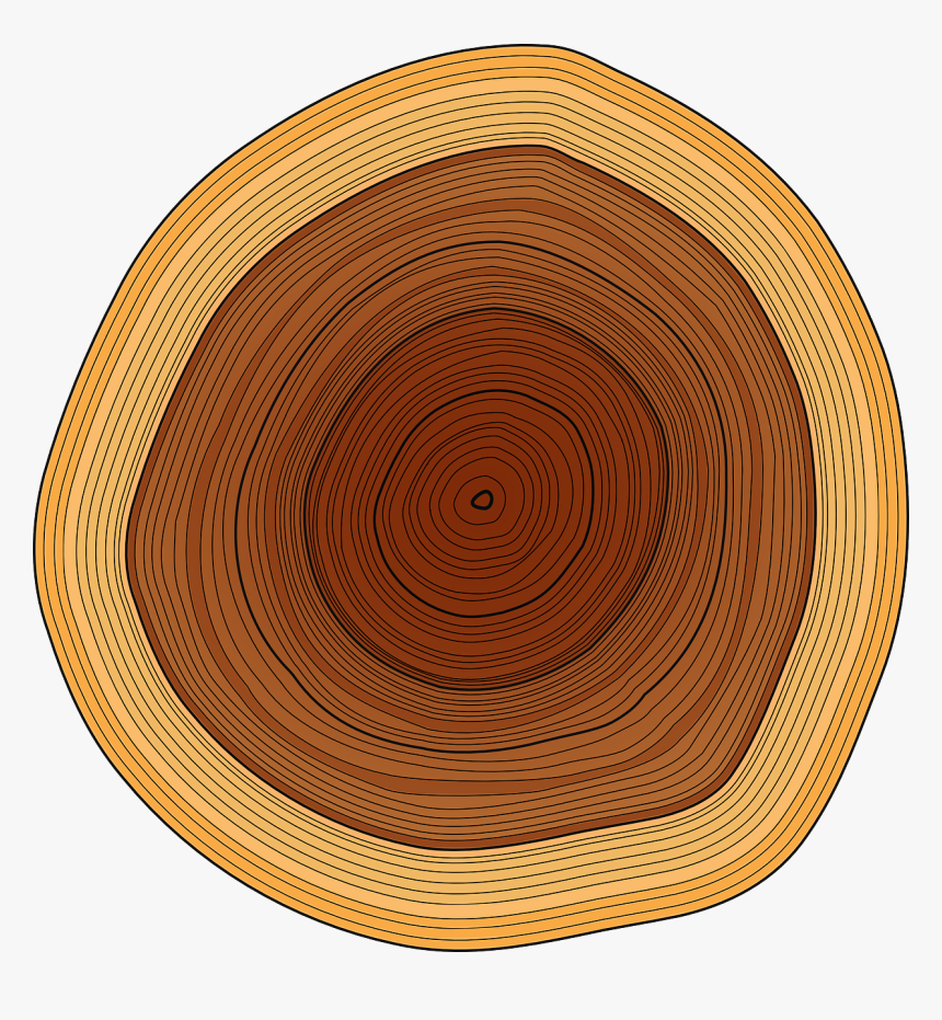 Wood Lumberjack Tree Stump Clip Art - Circle, HD Png Download, Free Download