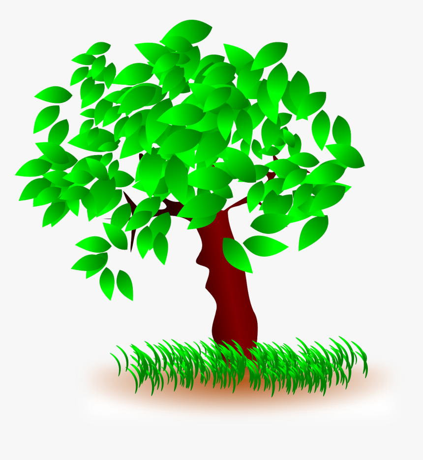 Tree With Leaves Clipart, HD Png Download, Free Download